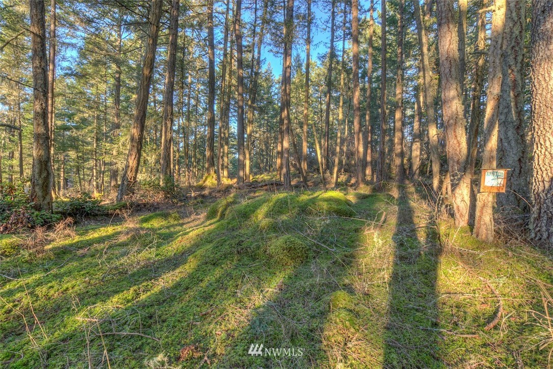 4 Spring Point Road Deer Harbor, WA 98243 - Photo 6 of 13 Gallery Image 6