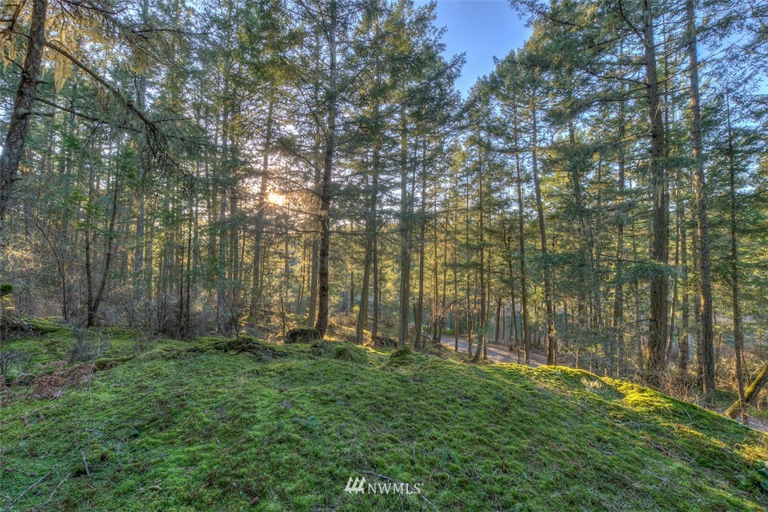 4 Spring Point Road Deer Harbor, WA 98243 - Photo 7 of 13 Gallery Image 7