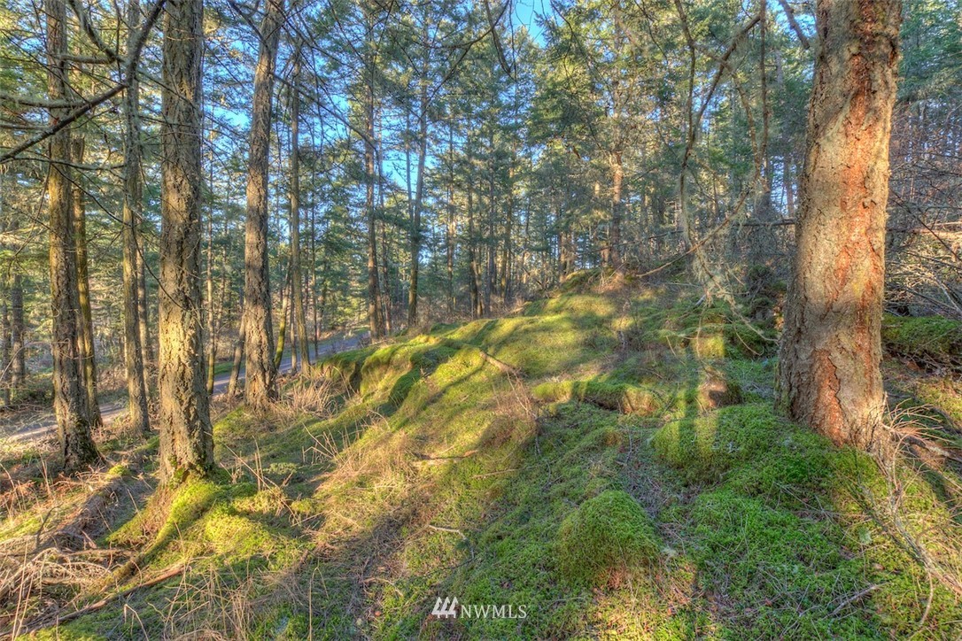 4 Spring Point Road Deer Harbor, WA 98243 - Photo 8 of 13 Gallery Image 8