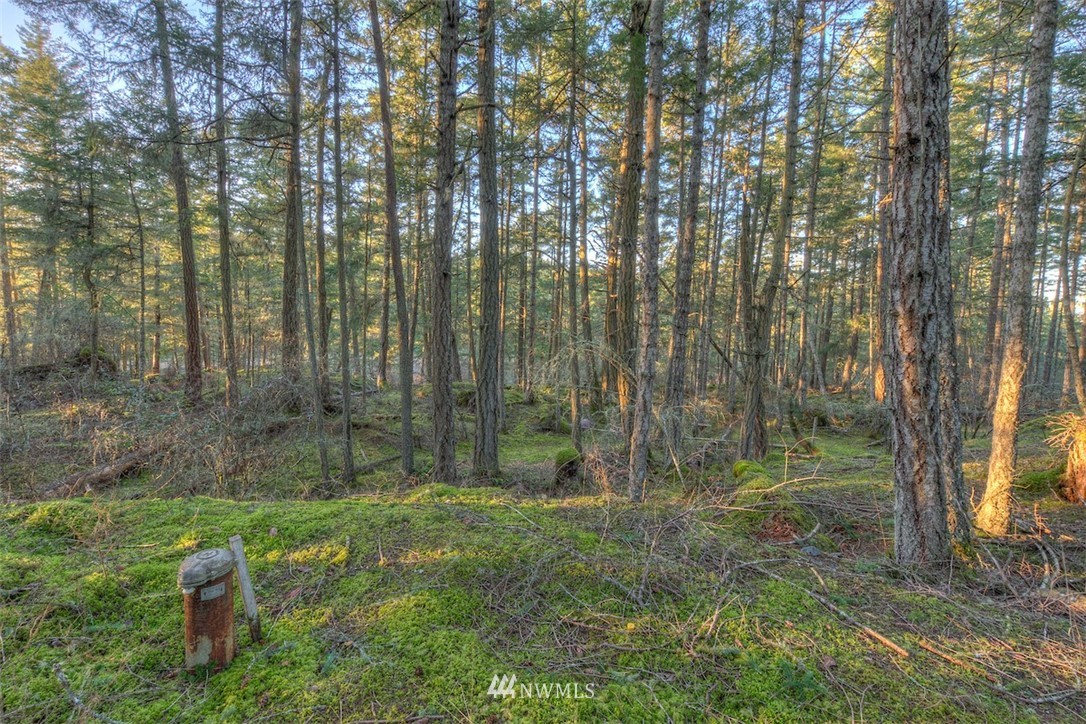 4 Spring Point Road Deer Harbor, WA 98243 - Photo 9 of 13 Gallery Image 9