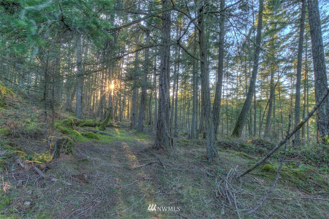 4 Spring Point Road Deer Harbor, WA 98243 - Photo 10 of 13 Gallery Image 10