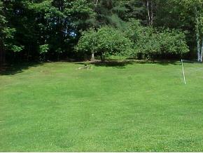 146 Woodbury Road Springfield, VT 05156 - Photo 7 of 11