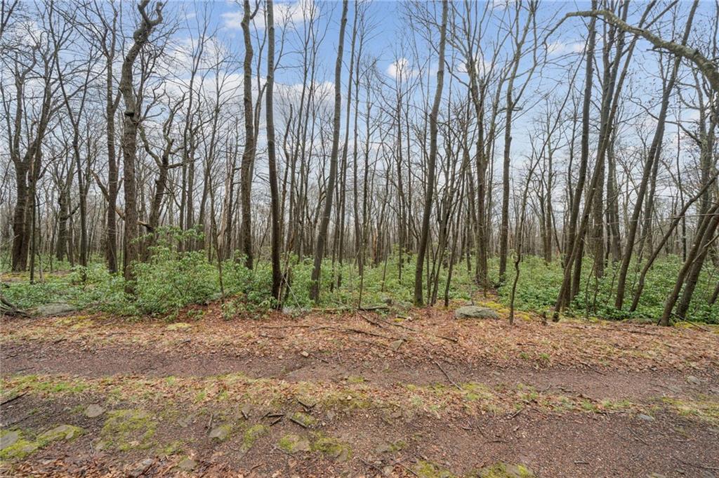 Lot 586 Zermatt Road Jenners, PA 15546 - Photo 4 of 10 a view of outdoor space with trees