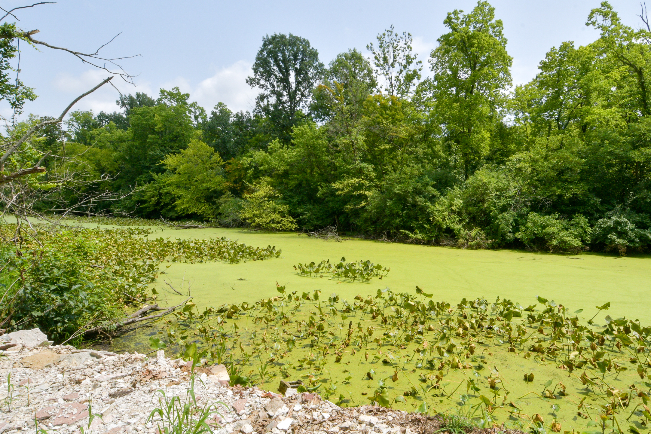 3850 Wicker Road Indianapolis, IN 46217 - Photo 73 of 90 Gallery Image 73