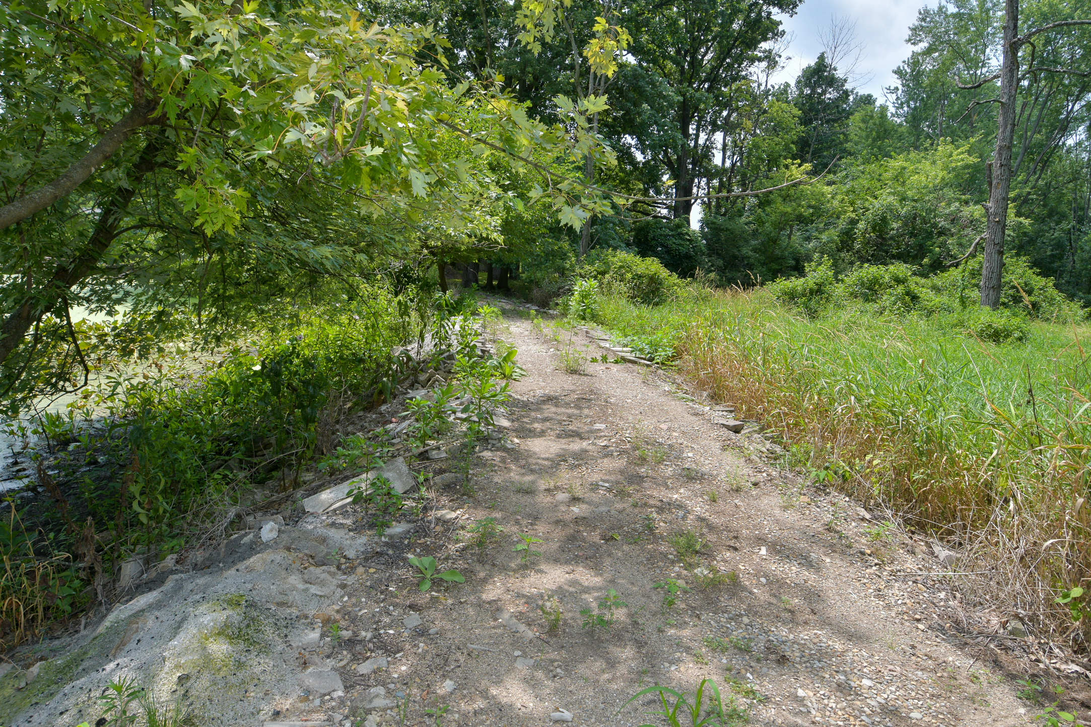 3850 Wicker Road Indianapolis, IN 46217 - Photo 74 of 90 Gallery Image 74