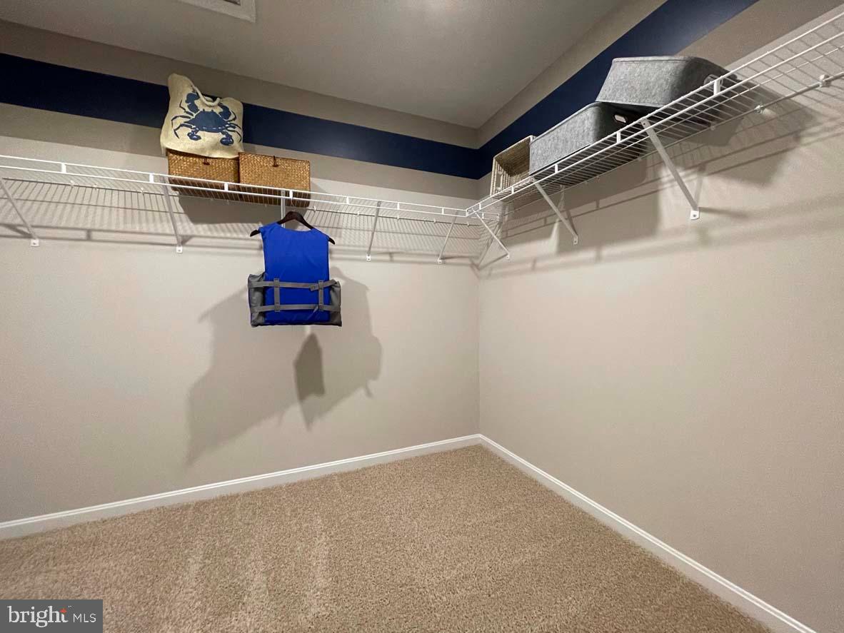 1145 Wintermead Loop Salisbury, MD 21801 - Photo 37 of 51 a view of walk in closet
