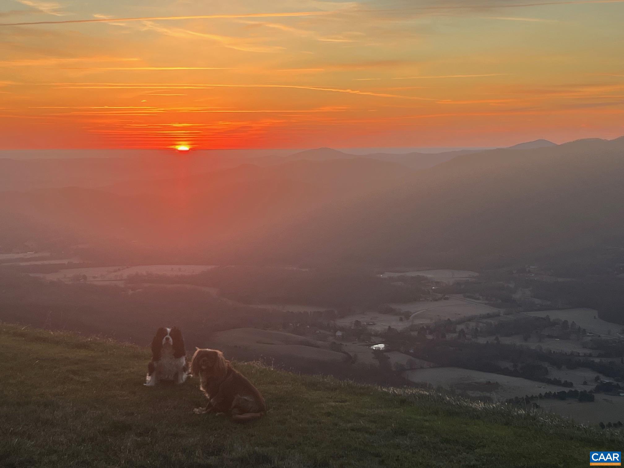 0 Bryant Mountain Road Roseland, VA 22967 - Photo 65 of 66