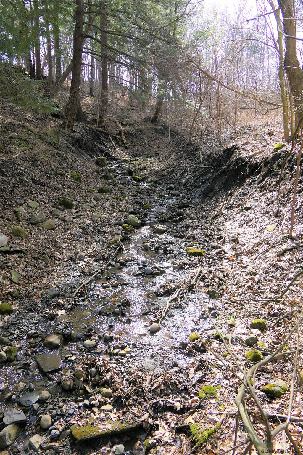119 Clinton Road Canajoharie, NY 13317 - Photo 79 of 82 Photo 79
