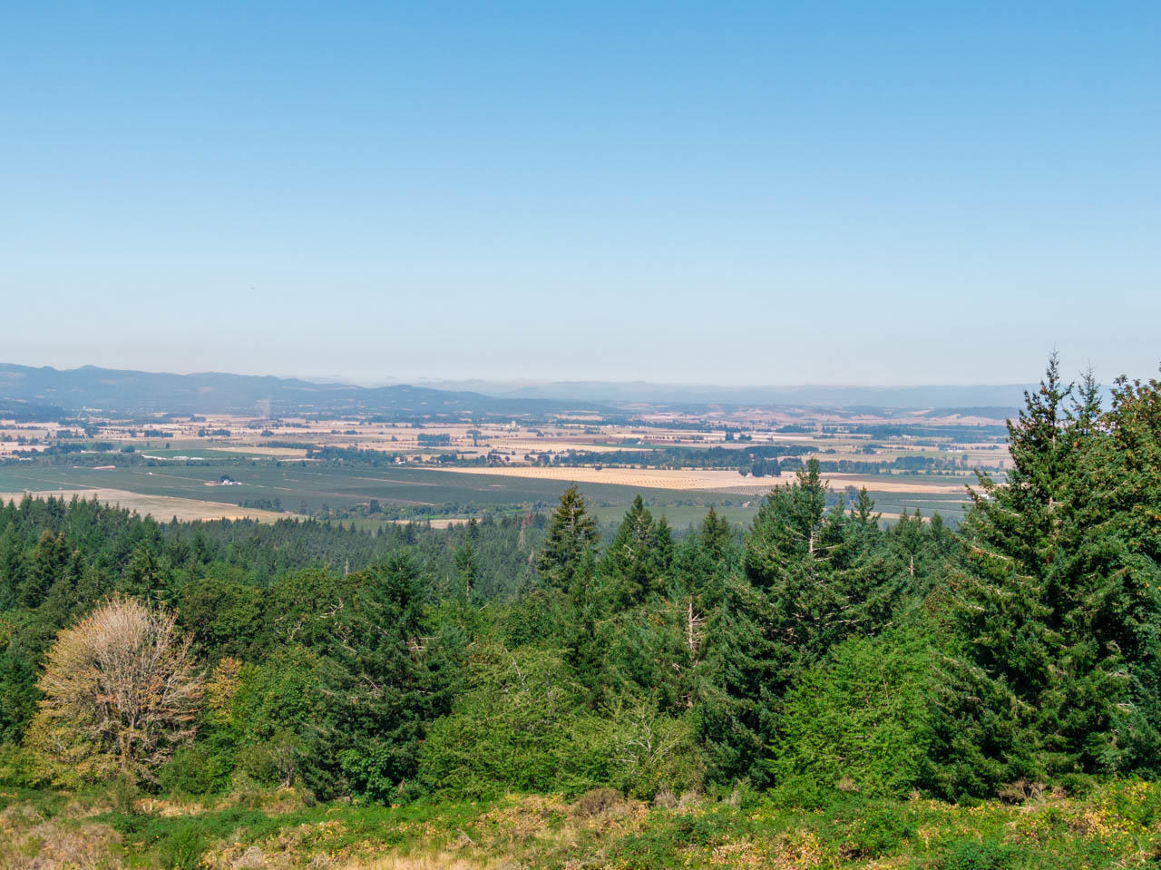 4002 Vitae Springs Road South Salem, OR 97306 - Photo 51 of 53 4002-Vitae-Springs-Rd-S-51