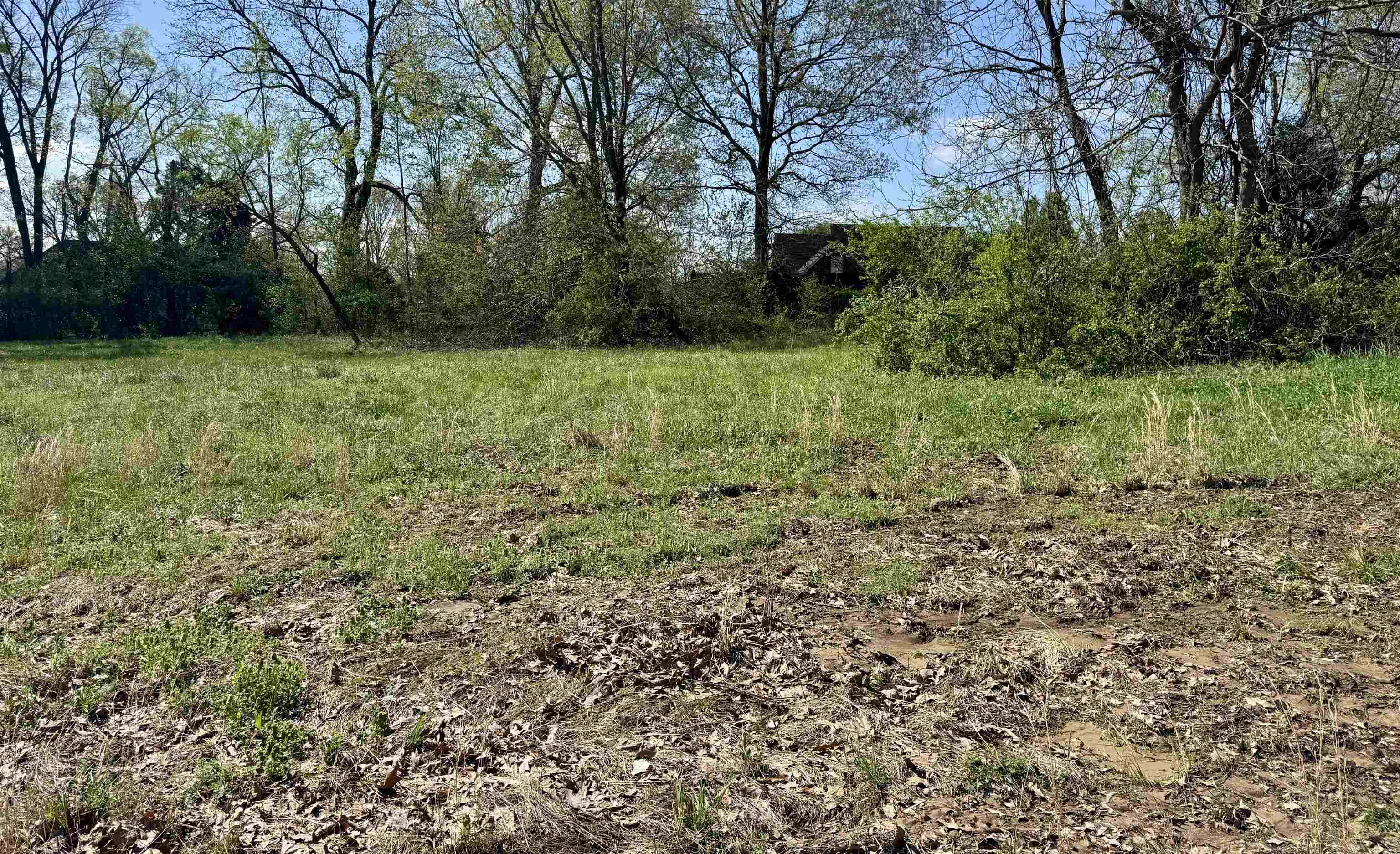 59 York Cmns Ripley, TN 38063 - Photo 2 of 2 View of nature