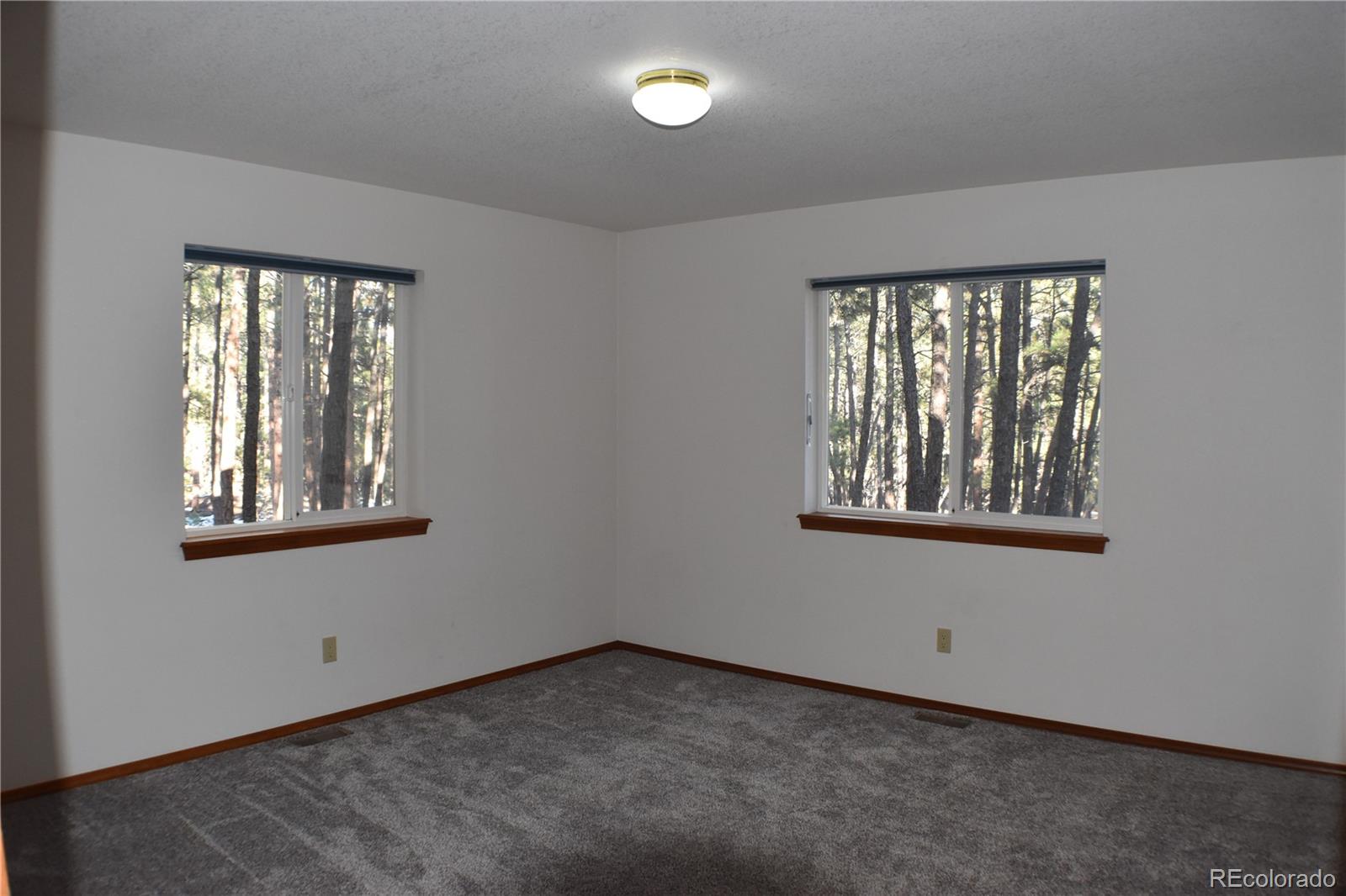 14540 Rosholt Loop Colorado Springs, CO 80921 - Photo 16 of 50 an empty room with a window