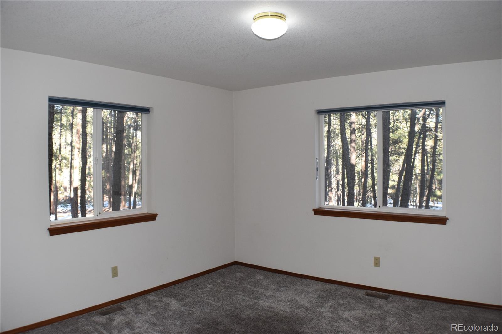 14540 Rosholt Loop Colorado Springs, CO 80921 - Photo 19 of 50 an empty room with windows