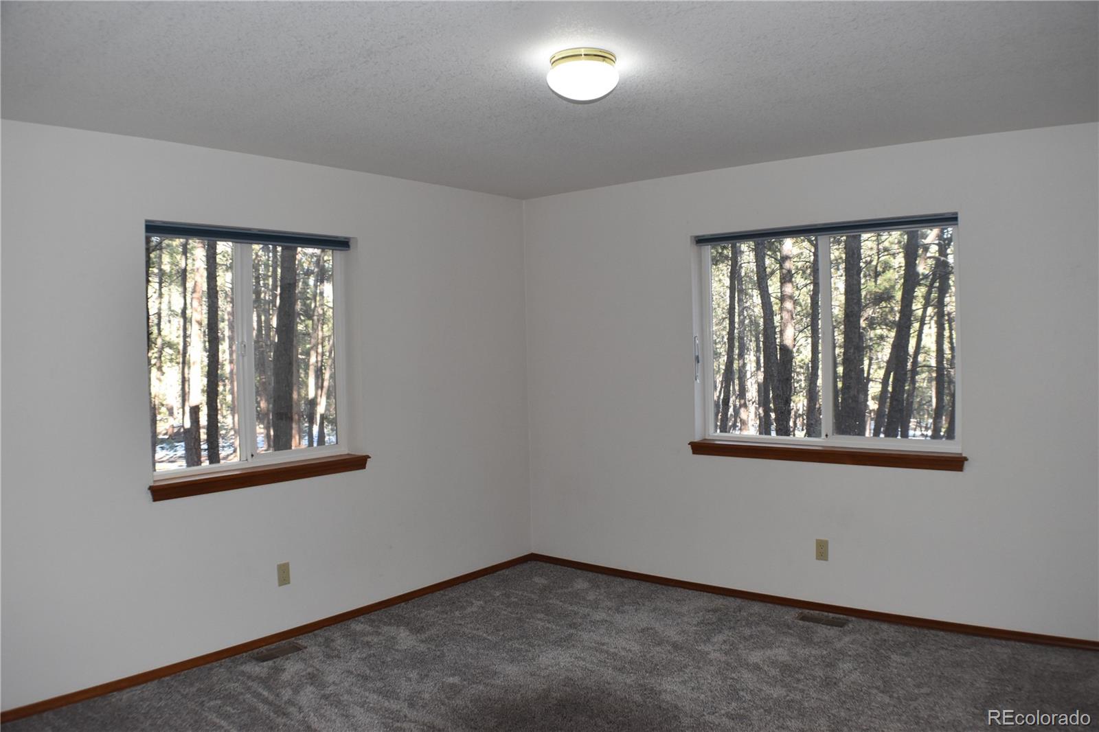 14540 Rosholt Loop Colorado Springs, CO 80921 - Photo 20 of 50 an empty room with a window