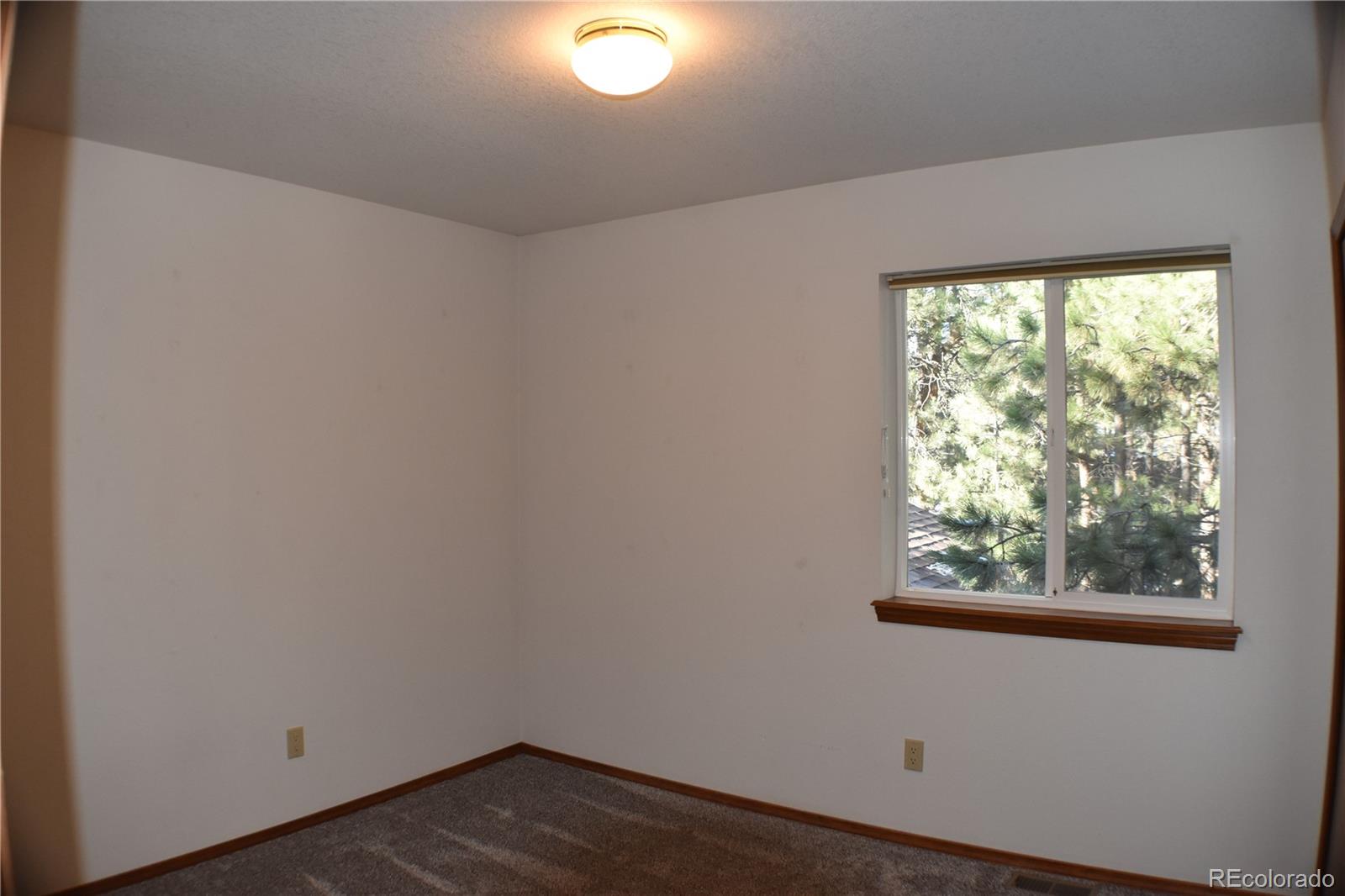 14540 Rosholt Loop Colorado Springs, CO 80921 - Photo 30 of 50 an empty room with wooden floor and windows