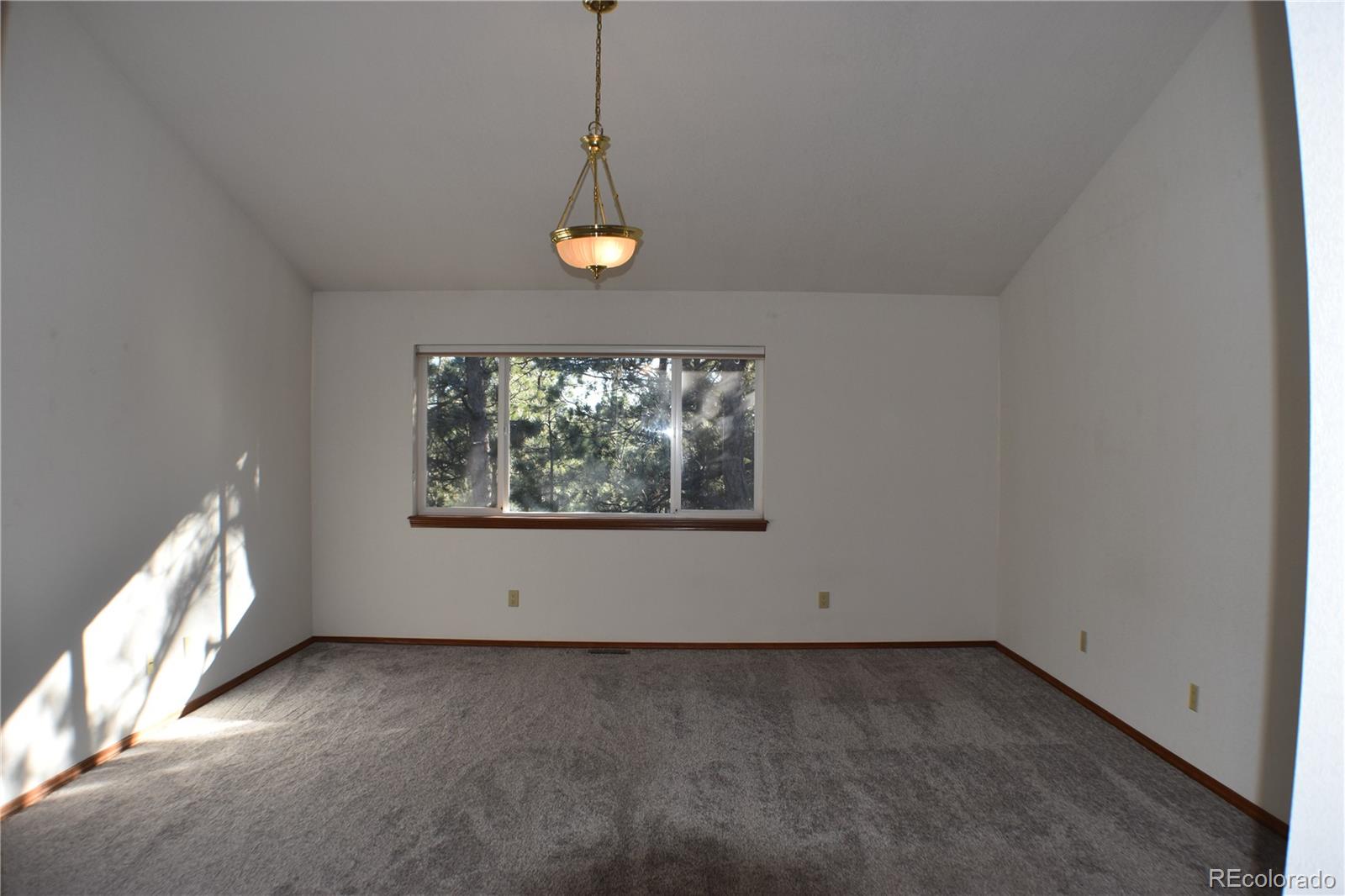14540 Rosholt Loop Colorado Springs, CO 80921 - Photo 46 of 50 a view of an empty room with a window