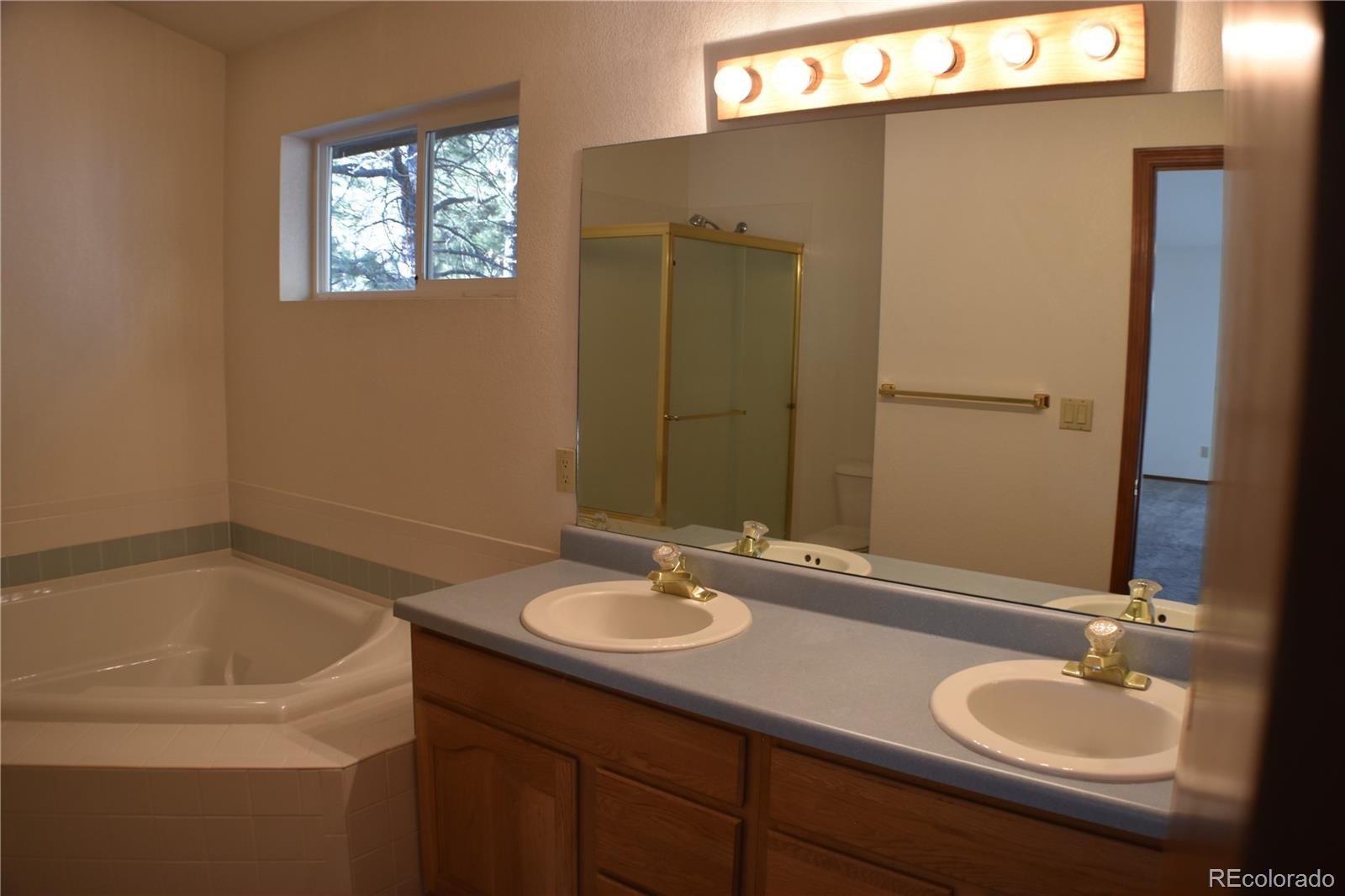 14540 Rosholt Loop Colorado Springs, CO 80921 - Photo 49 of 50 a bathroom with a sink and a mirror