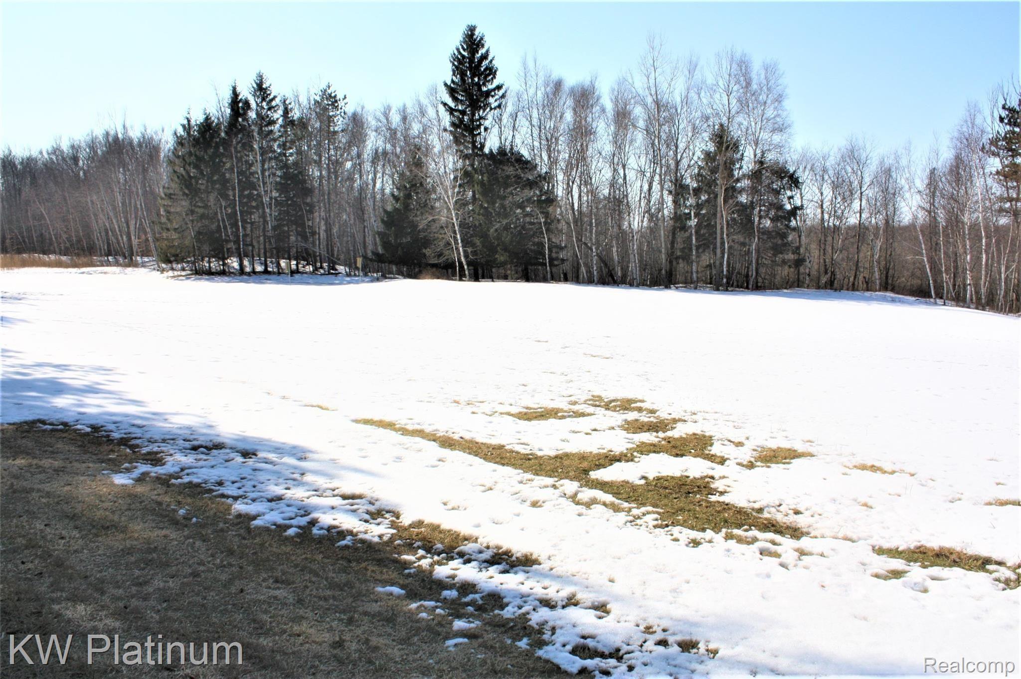 7012 Filion Road Port Hope, MI 48468 - Photo 11 of 60 IMG_9417 (2).JPG