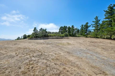 a view of a field with trees in the background