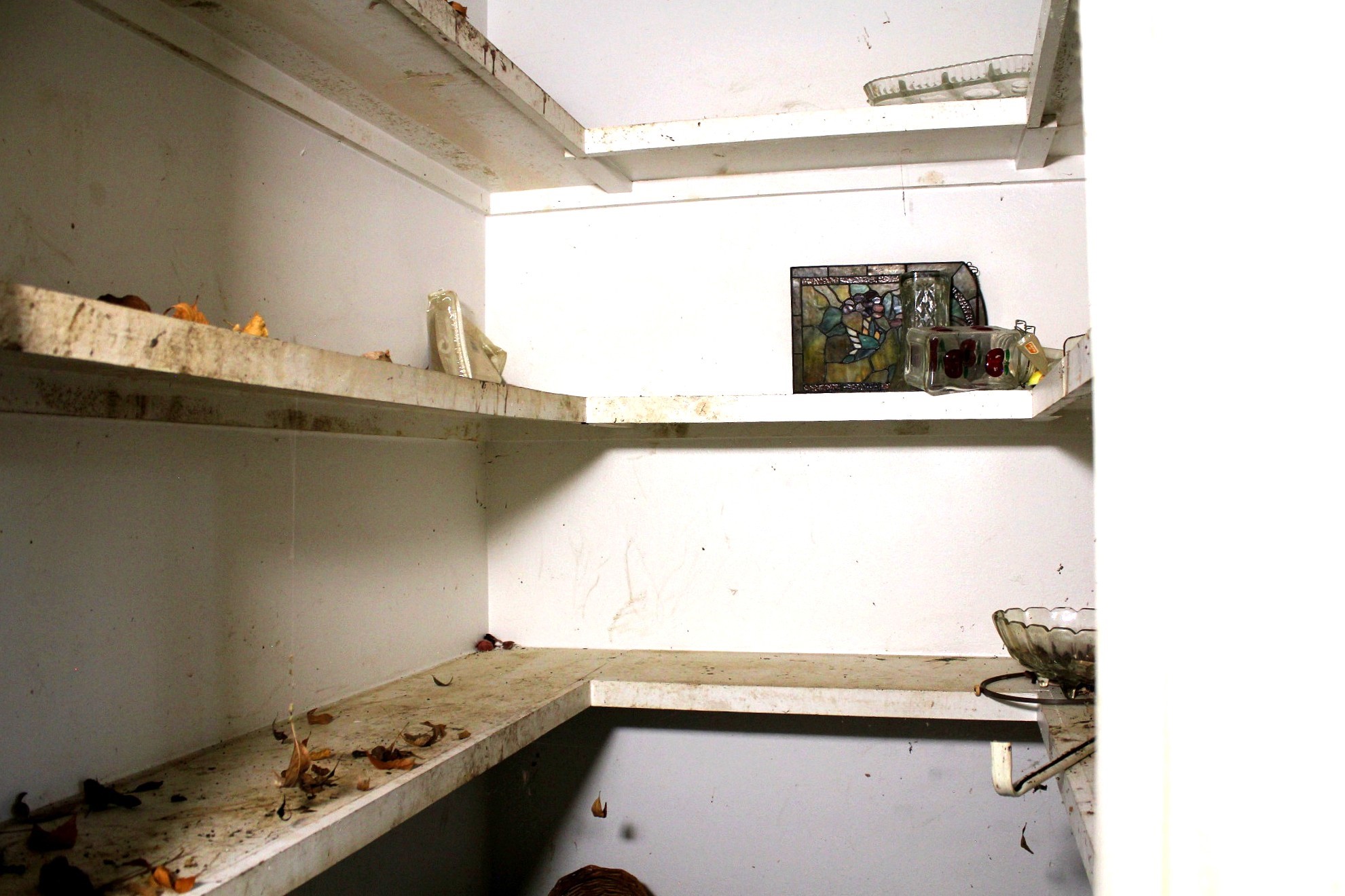 386 Lawrence Road Trinity, TX 75862 - Photo 18 of 30 a bathroom with a sink and a window