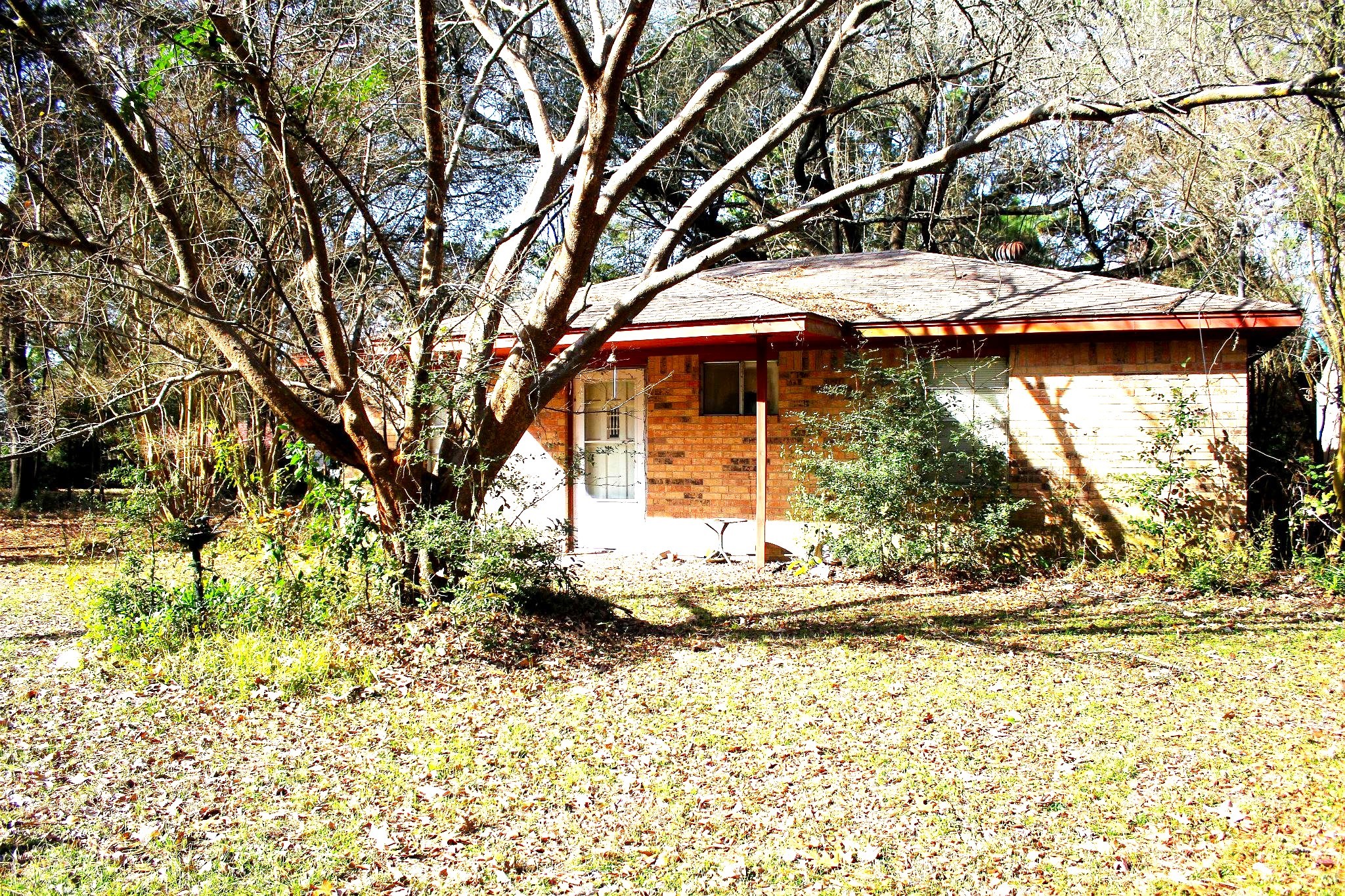 386 Lawrence Road Trinity, TX 75862 - Photo 2 of 30