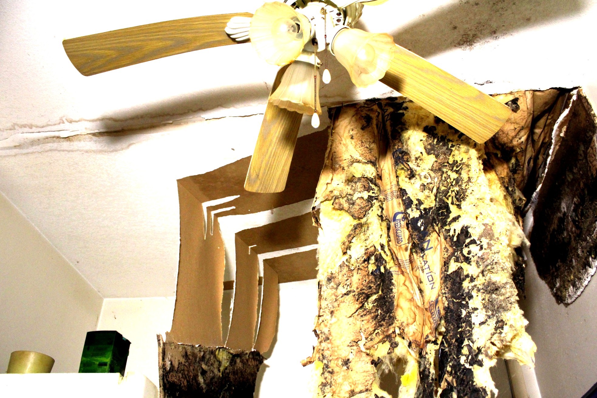 386 Lawrence Road Trinity, TX 75862 - Photo 22 of 30