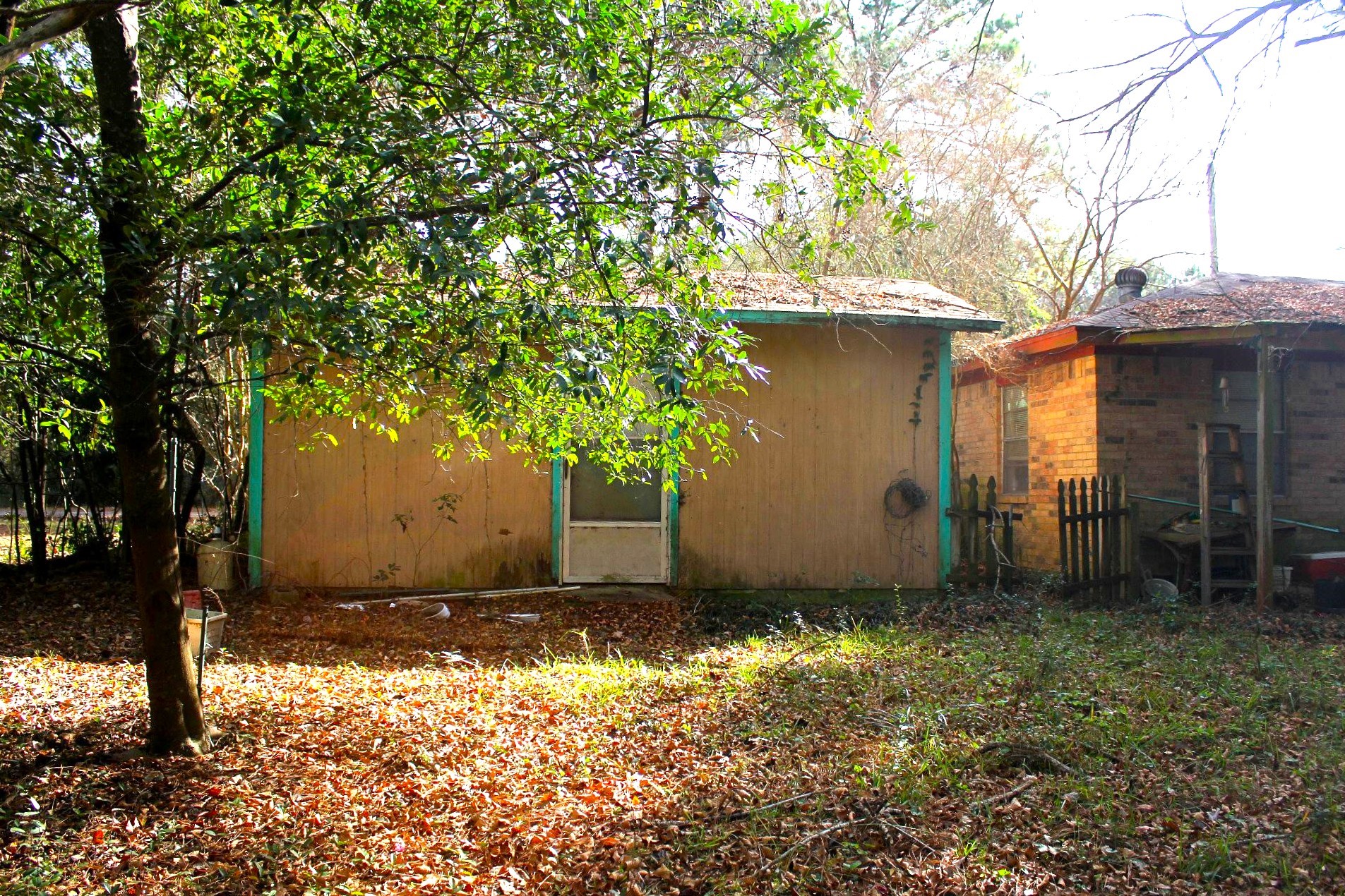 386 Lawrence Road Trinity, TX 75862 - Photo 24 of 30 a backyard of a house with lots of green space