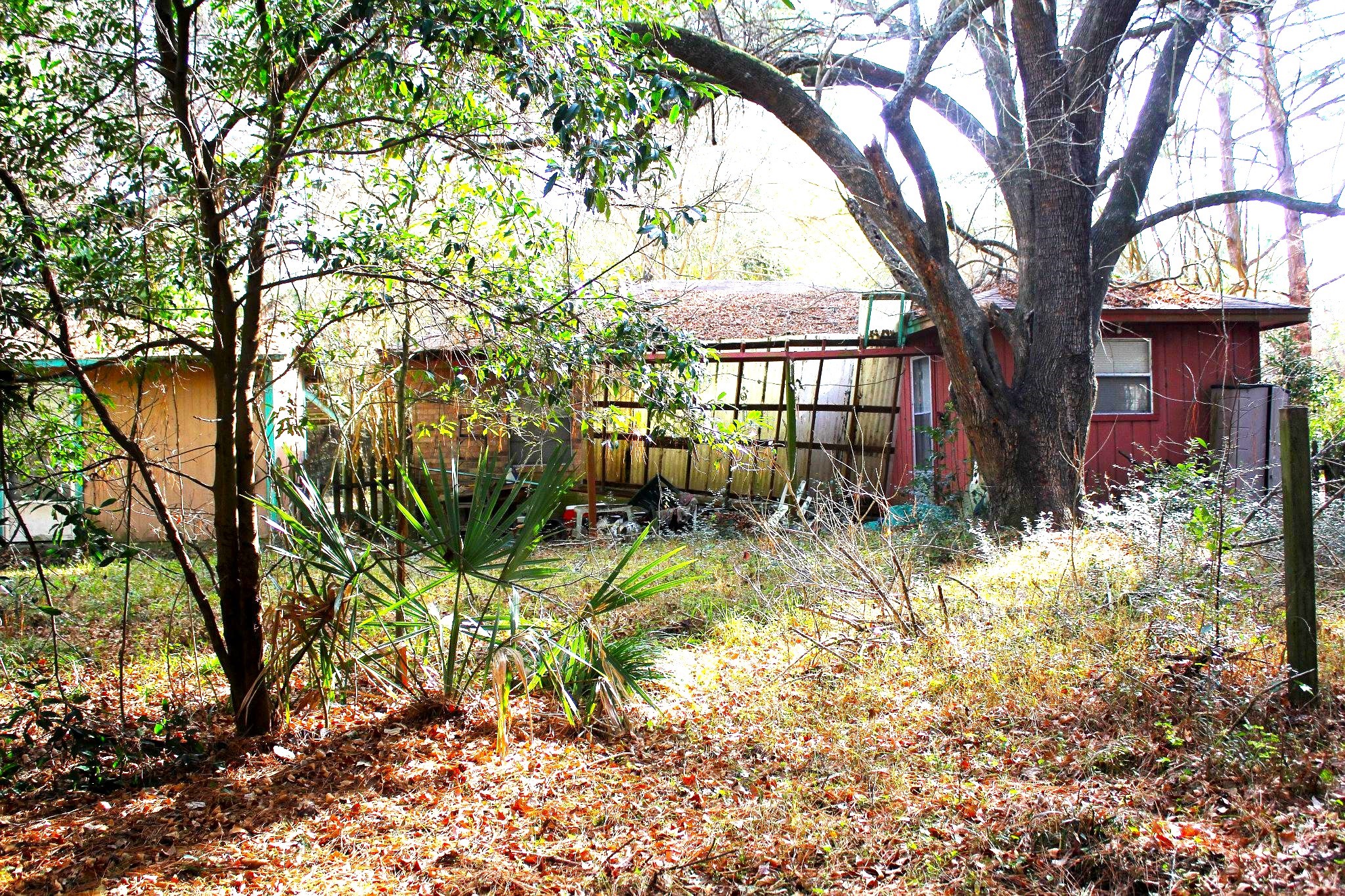 386 Lawrence Road Trinity, TX 75862 - Photo 25 of 30 a view of a backyard with large trees