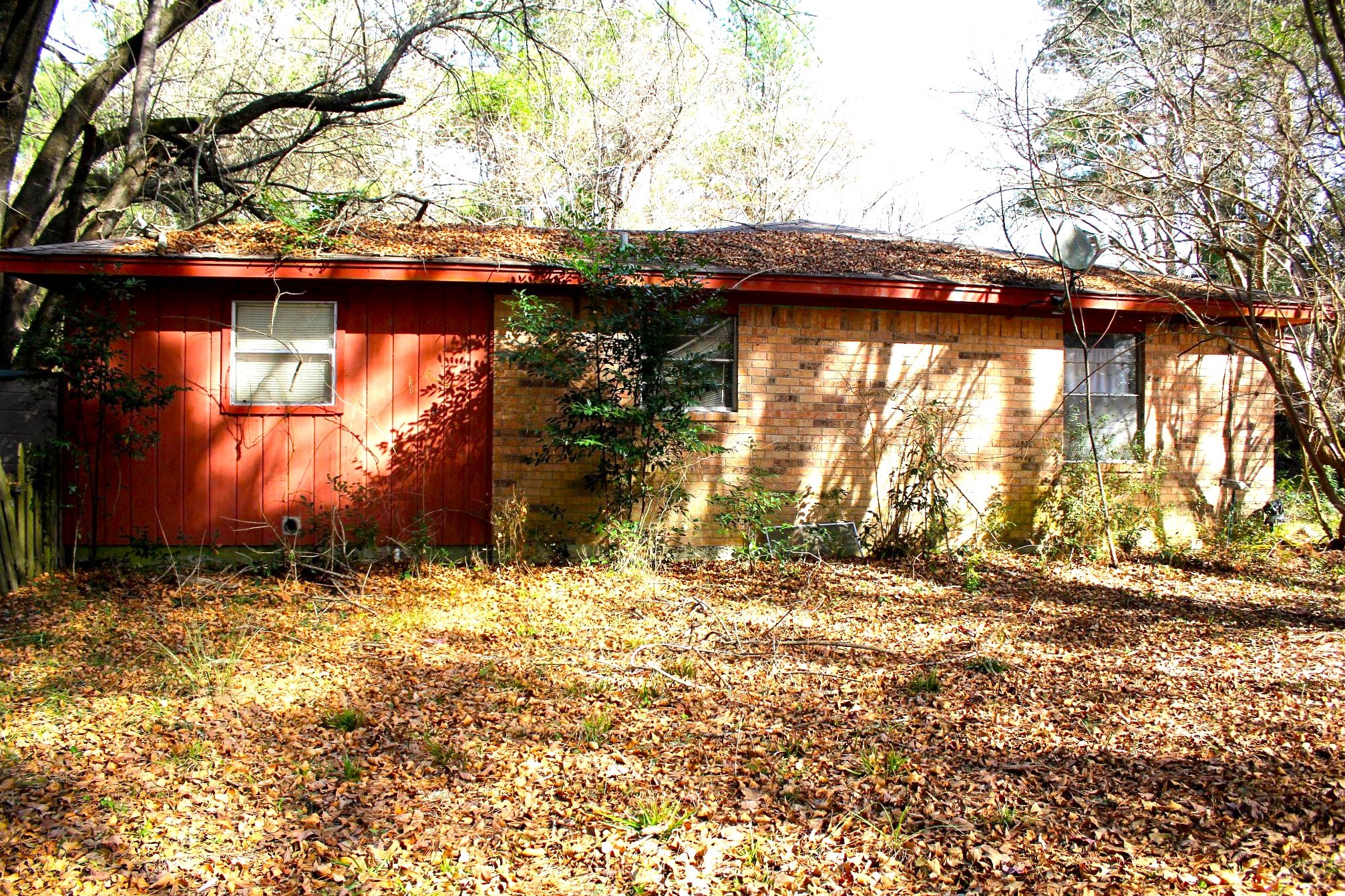 386 Lawrence Road Trinity, TX 75862 - Photo 29 of 30 a backyard of a house with lots of green space