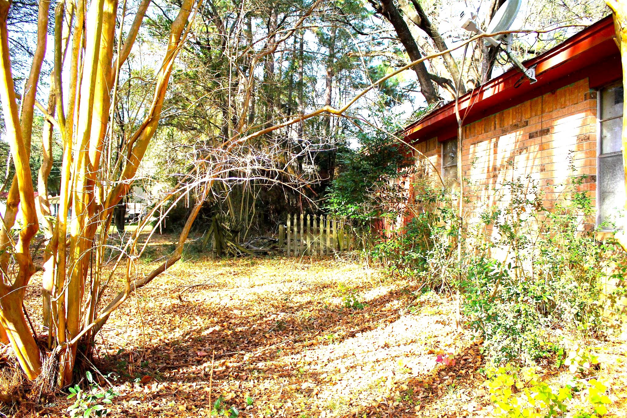 386 Lawrence Road Trinity, TX 75862 - Photo 4 of 30 a backyard of a house with a tree
