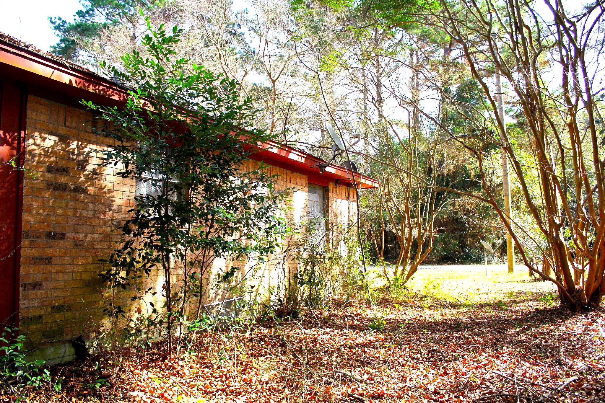 386 Lawrence Road Trinity, TX 75862 - Photo 5 of 30 a view of house with a yard