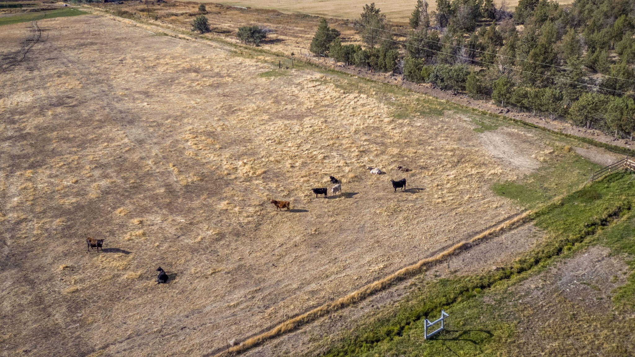 7056 Southwest Kent Lane Culver, OR 97734 - Photo 57 of 65 53-web-or-mls-DJI_0123