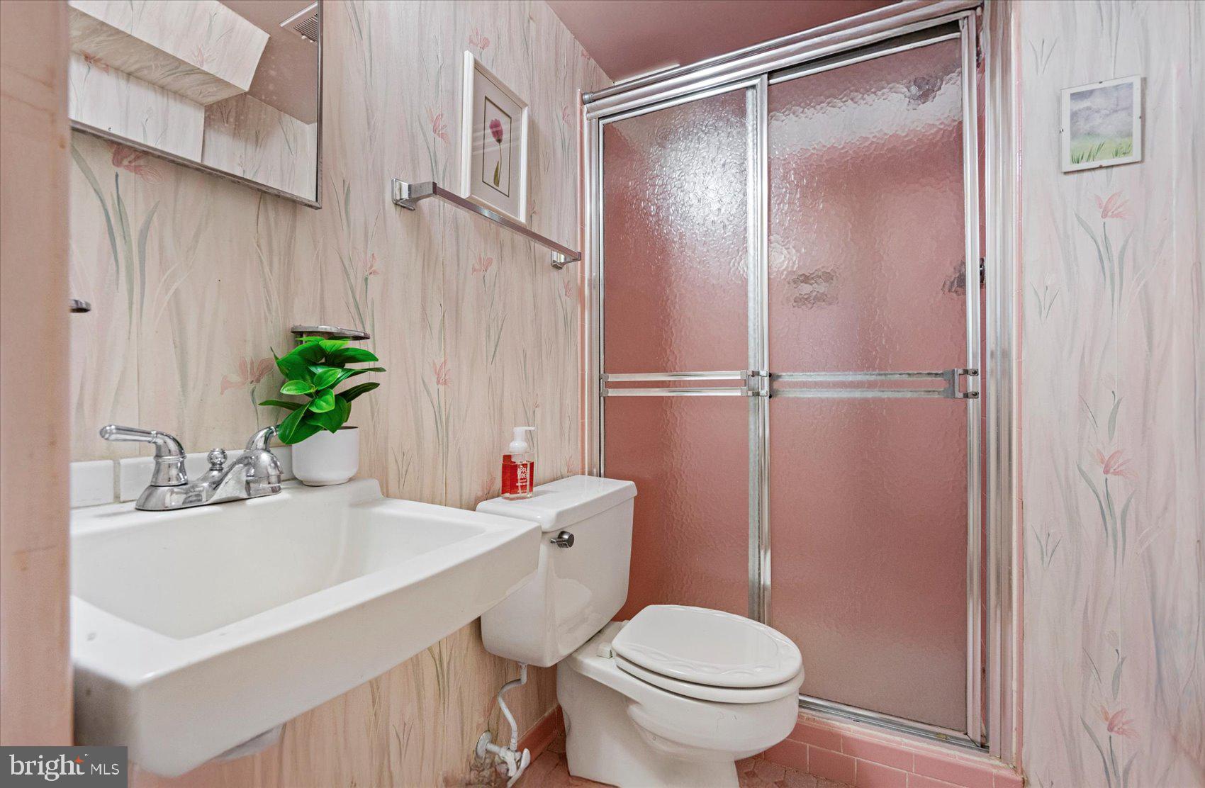 2300 Musgrove Road Silver Spring, MD 20904 - Photo 32 of 41 Lower level 2 full bath