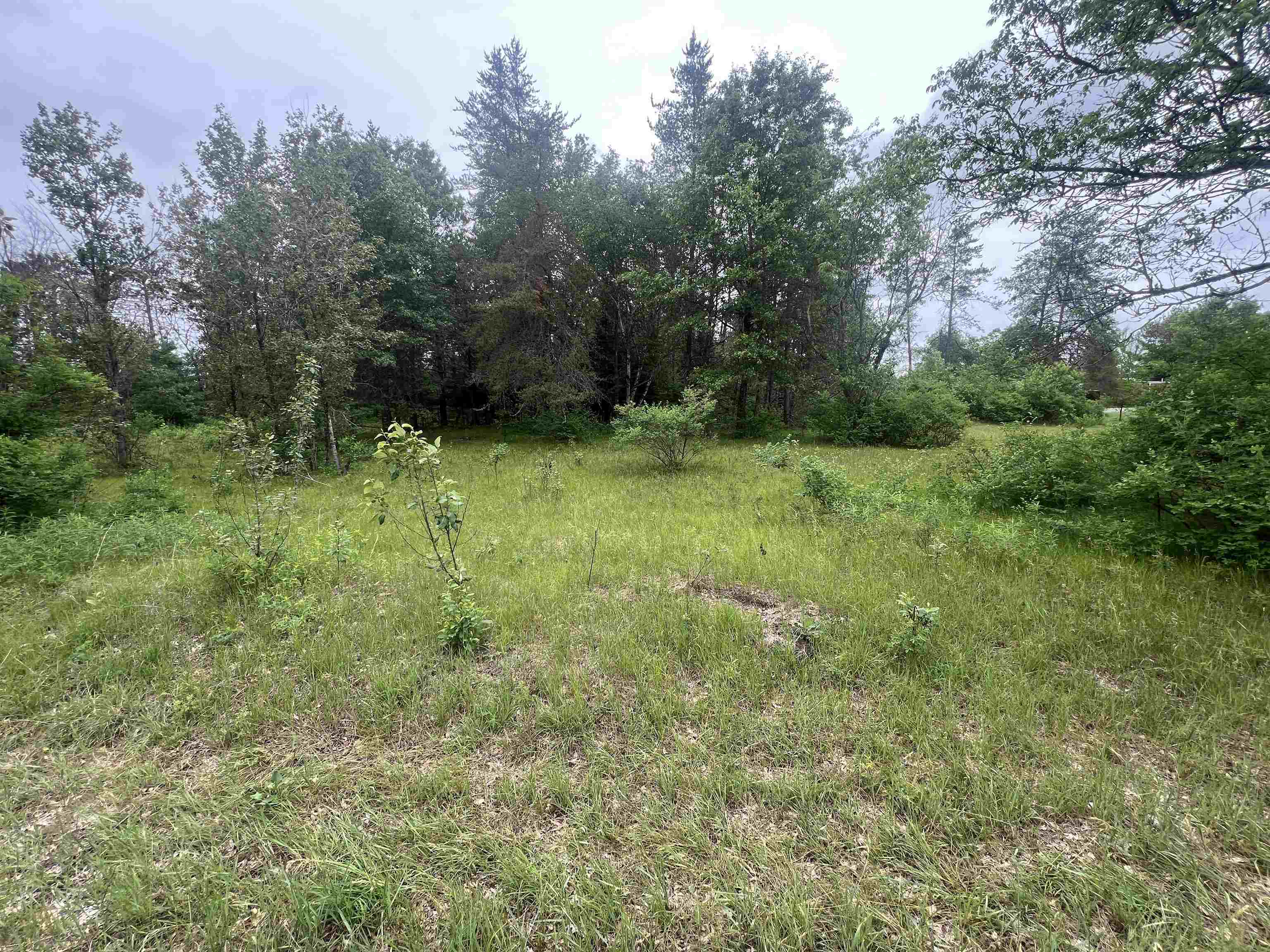 W8192 Bielak Road, Unit 2 Wausaukee, WI 54177 - Photo 3 of 12