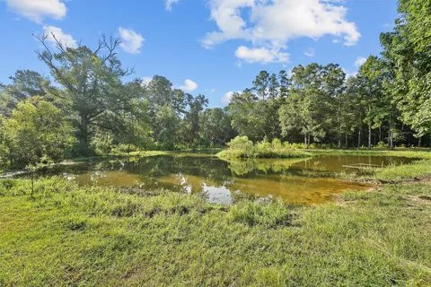 a backyard of a house with lots of green space and fountain