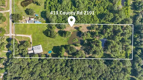 a close up of a plant