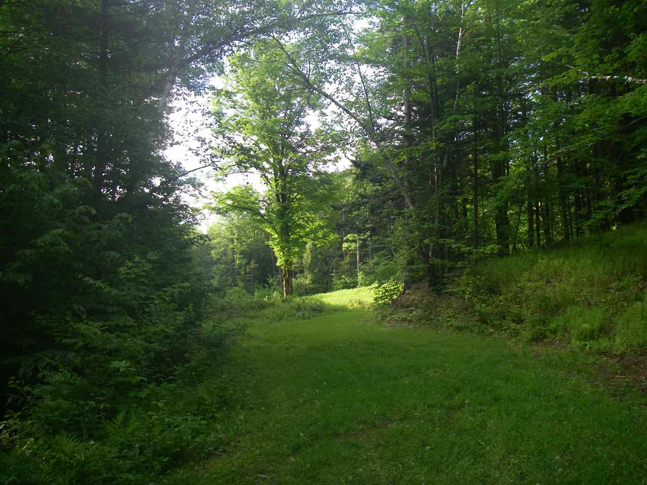 32 Snow Road Dover, VT 05341 - Photo 1 of 10