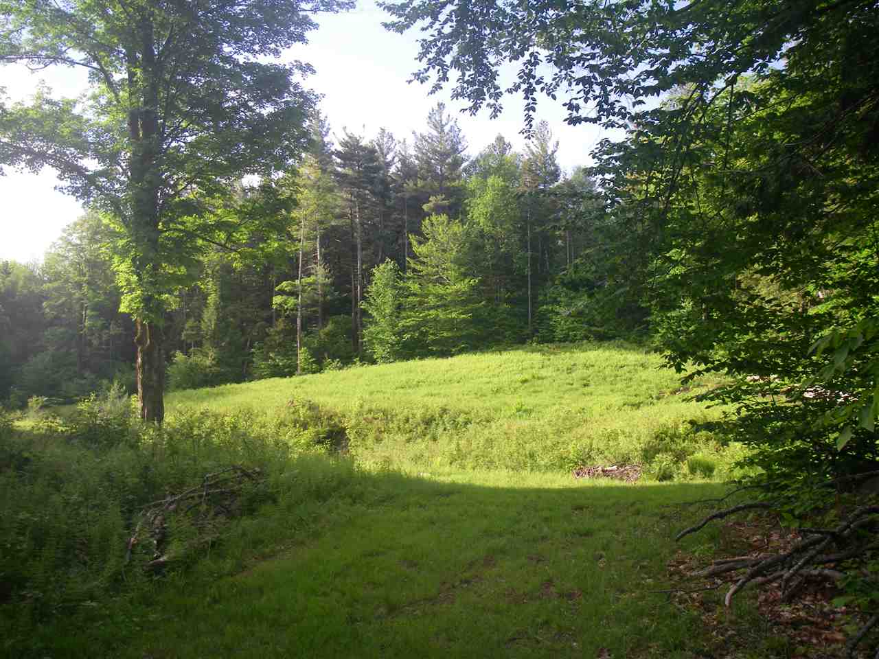 32 Snow Road Dover, VT 05341 - Photo 2 of 10