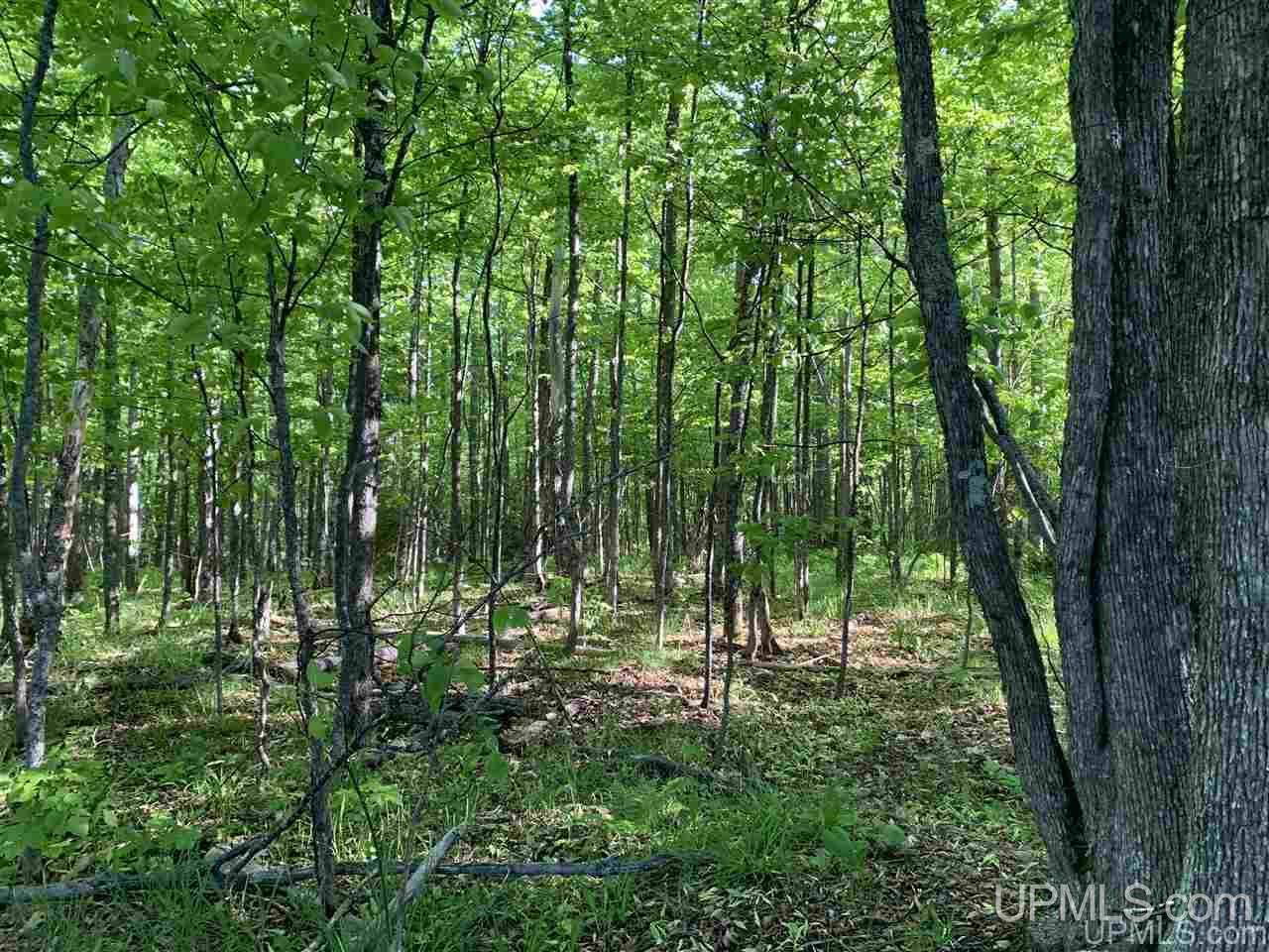 11567 Pirkola Road Watton, MI 49970 - Photo 8 of 13