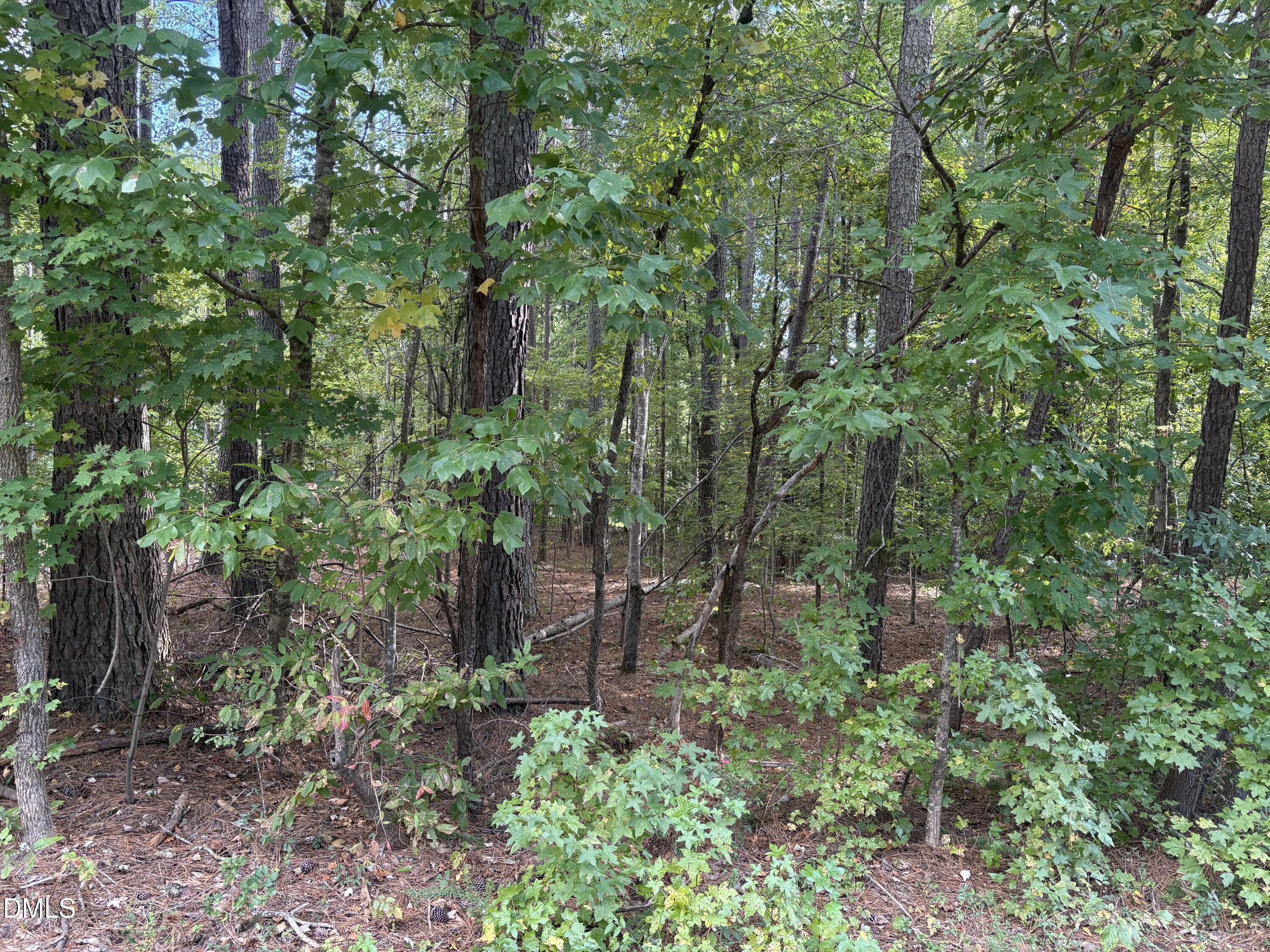 131 Clear Water Road Louisburg, NC 27549 - Photo 2 of 3 IMG_3673