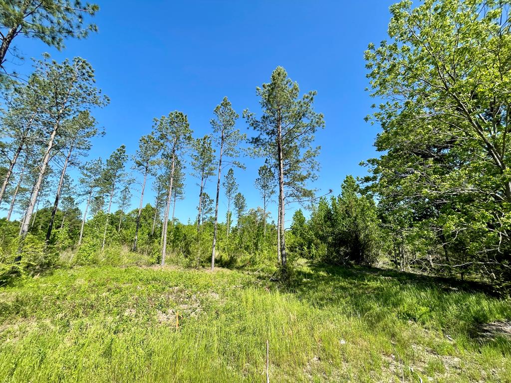 0 Northeast Benton Store Road Columbia, AL 36319 - Photo 1 of 6
