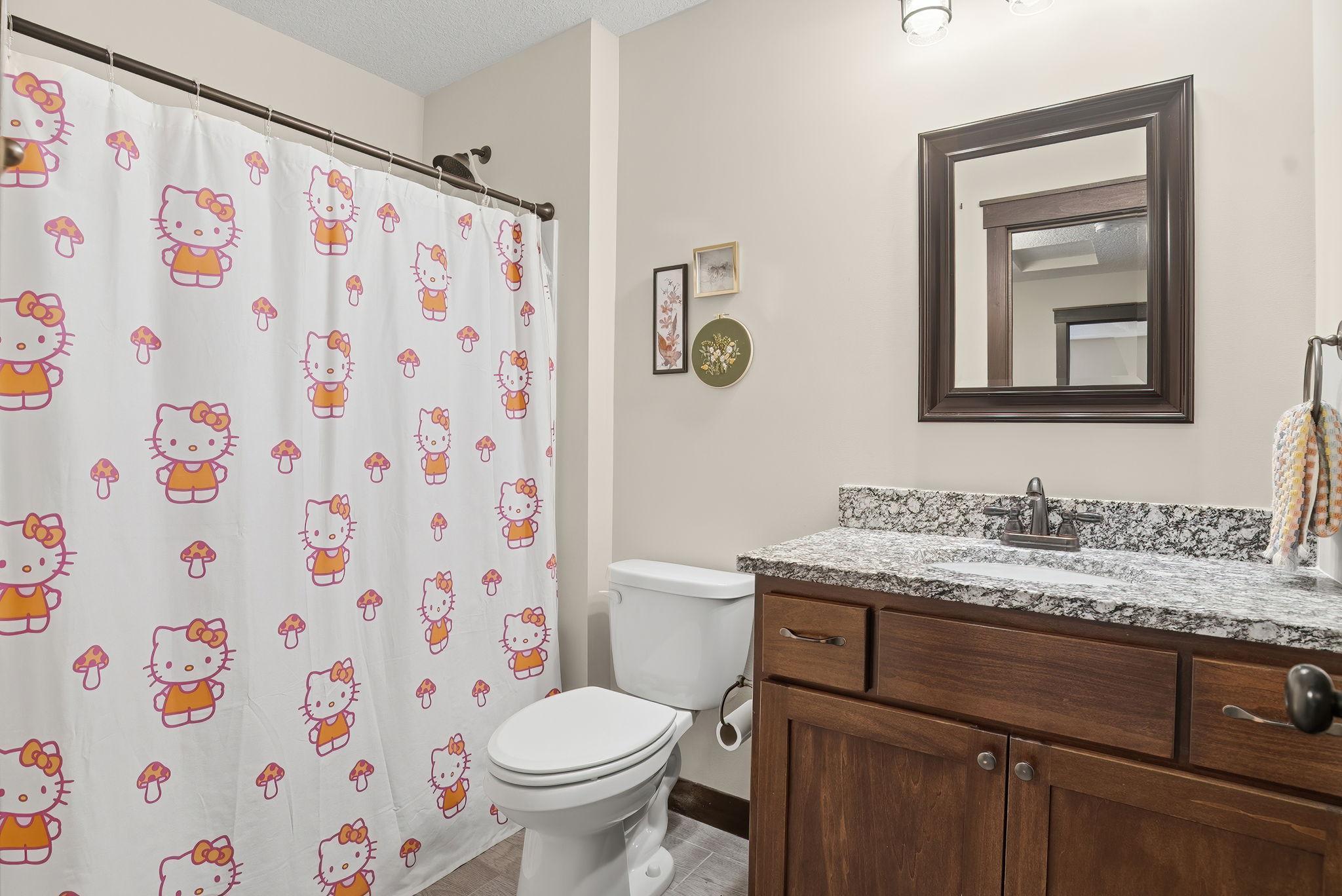 9112 Hamlet Avenue South Cottage Grove, MN 55016 - Photo 21 of 37