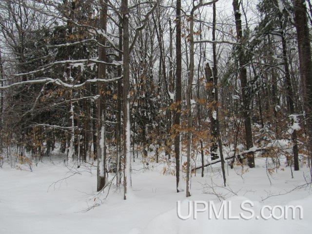16 Mile Lake Road Munising, MI 49862 - Photo 13 of 16
