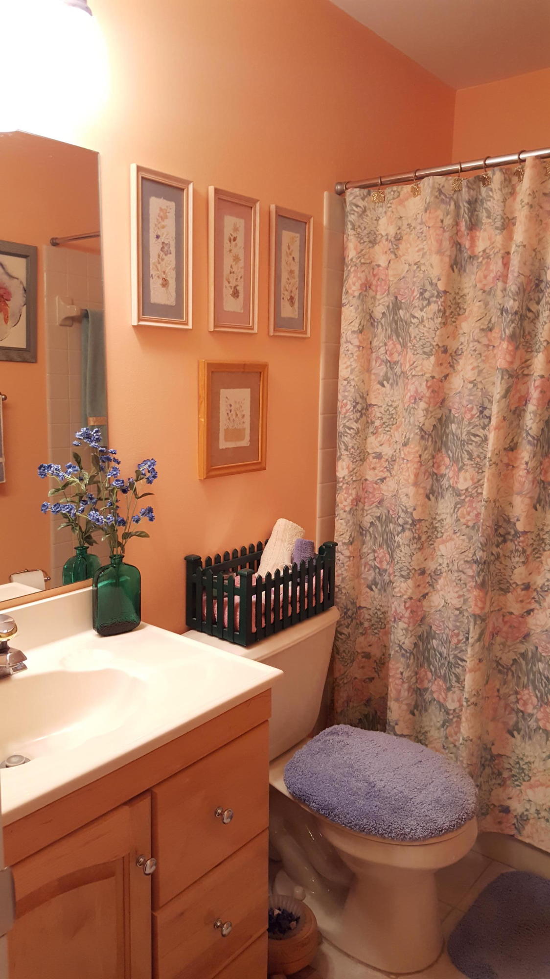 9501 Saddlebrook Drive Boca Raton, FL 33496 - Photo 22 of 34 20160810_172417