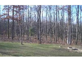 7344 Old State Road Bloomington, IN 47403 - Photo 16 of 16