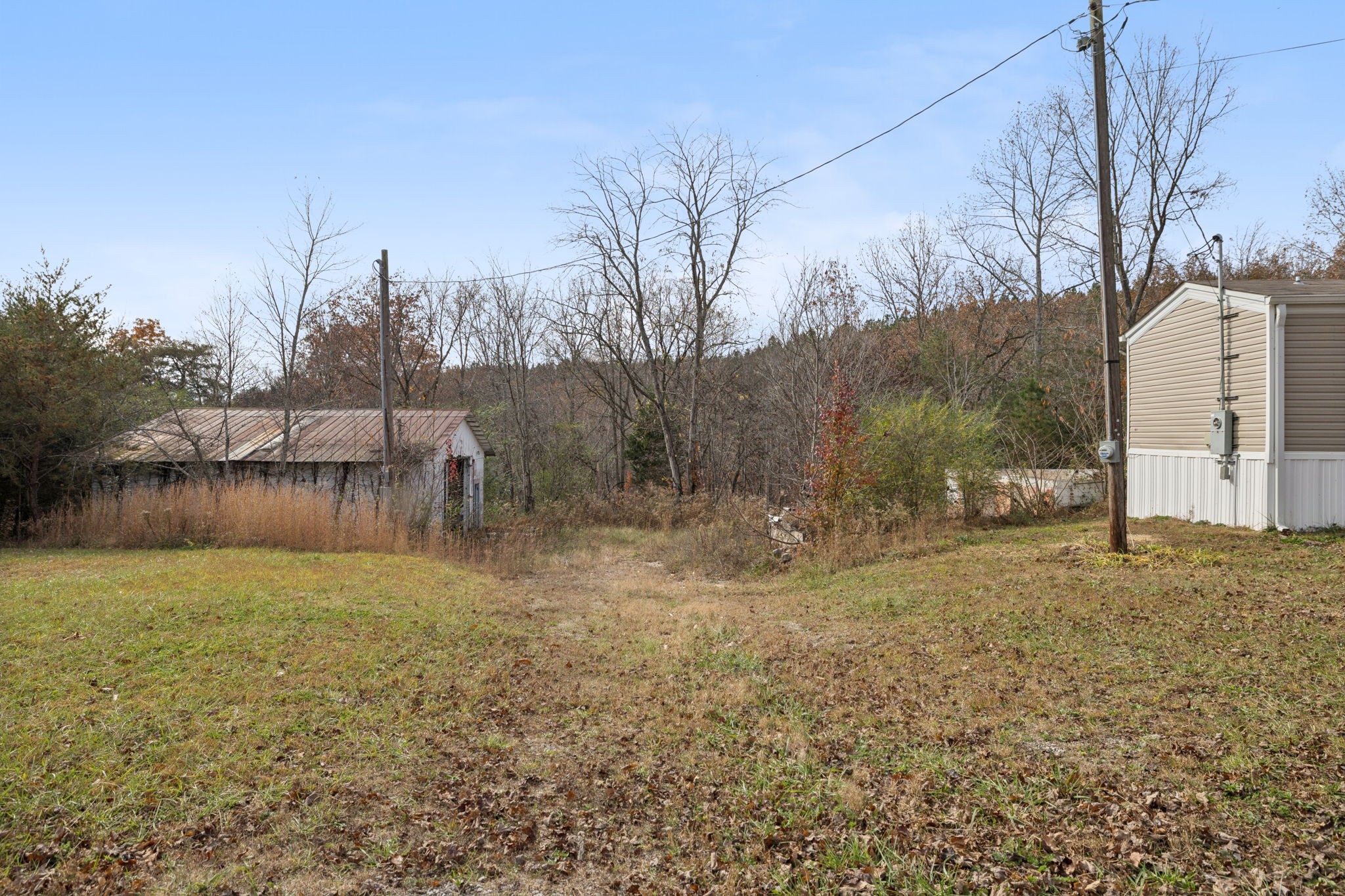 108 Lyell Road Hohenwald, TN 38462 - Photo 16 of 25 a view of a yard and a house