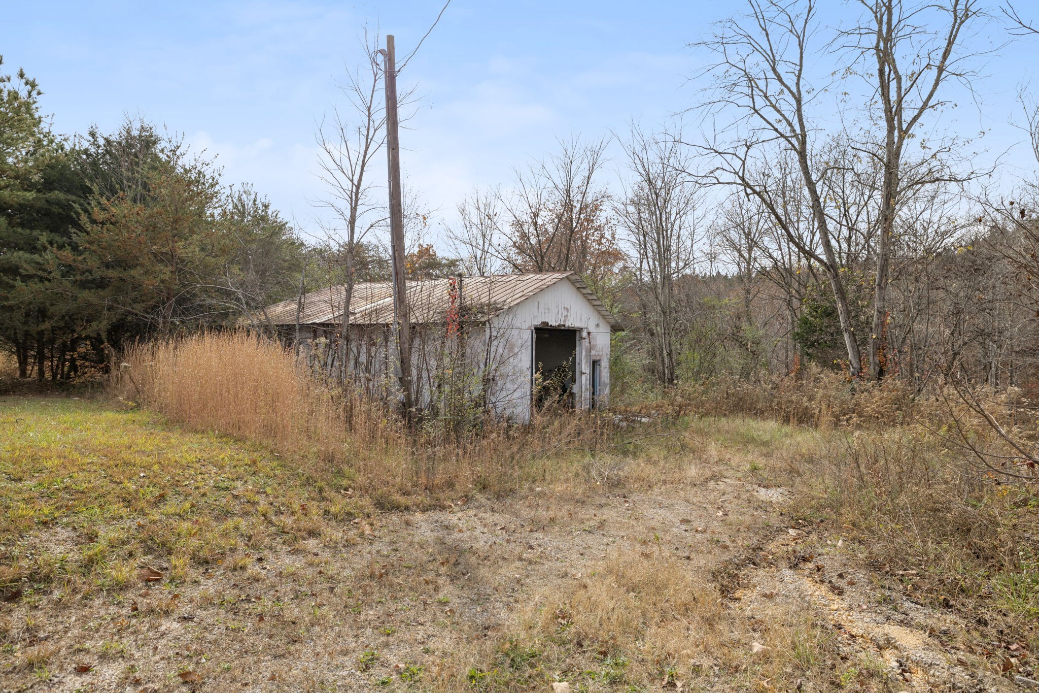 108 Lyell Road Hohenwald, TN 38462 - Photo 17 of 25 a backyard of a house with lots of green space
