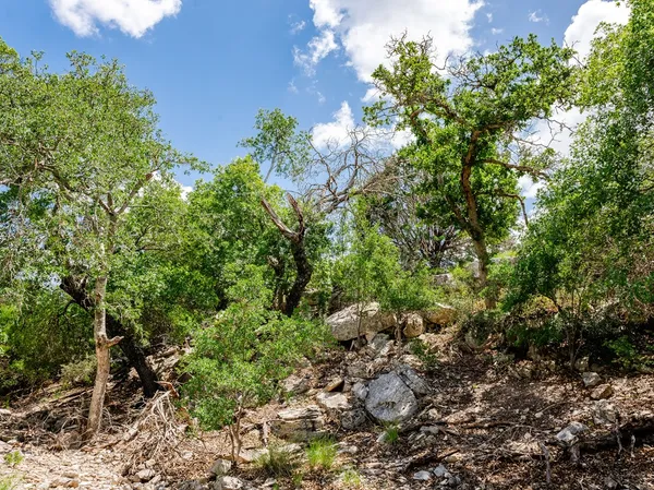 $255,000 | 1632 Link, Doss, TX 78618