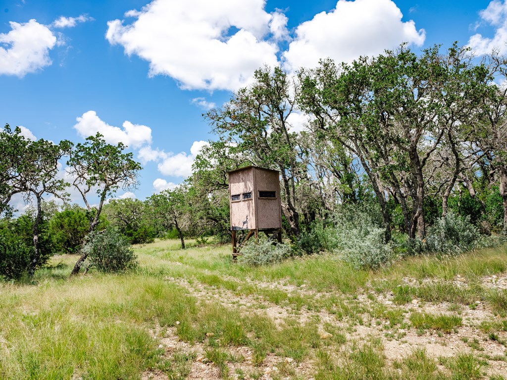 1632 Link Doss, TX 78618 - Photo 25 of 25