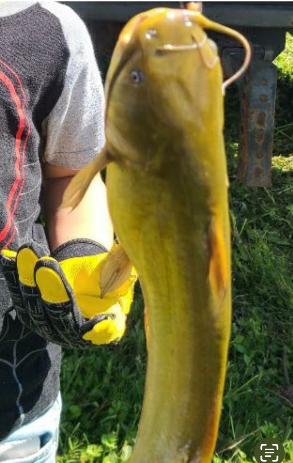 3818 County Road 36 Angleton, TX 77515 - Photo 37 of 49