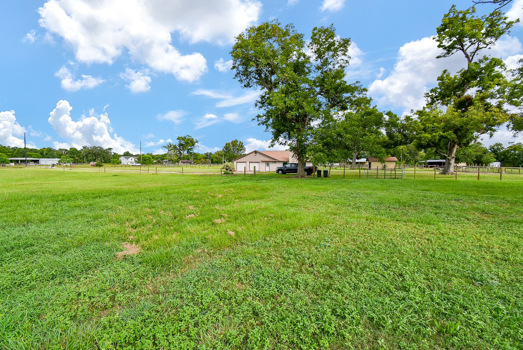 3818 County Road 36 Angleton, TX 77515 - Photo 45 of 49 a view of a big yard with plants and large trees